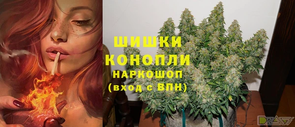 первитин Белокуриха