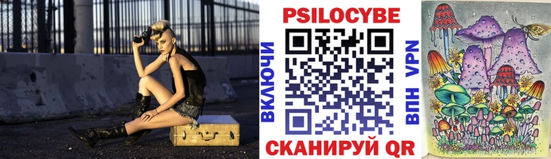 где продают   Горняк  Псилоцибиновые грибы Magic Shrooms 